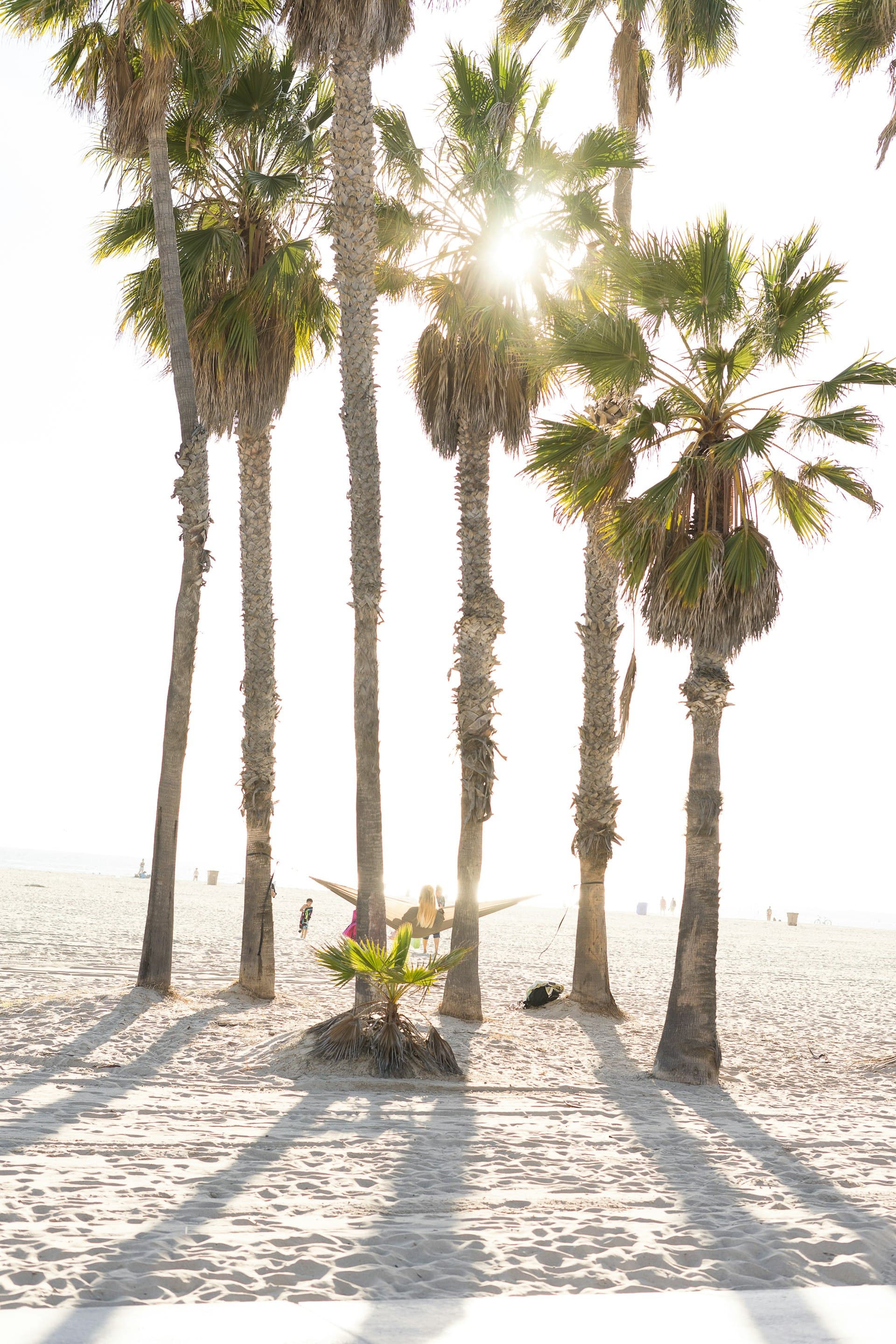 Palm trees casting shadows on sunny California beach representing hot Southern California climate