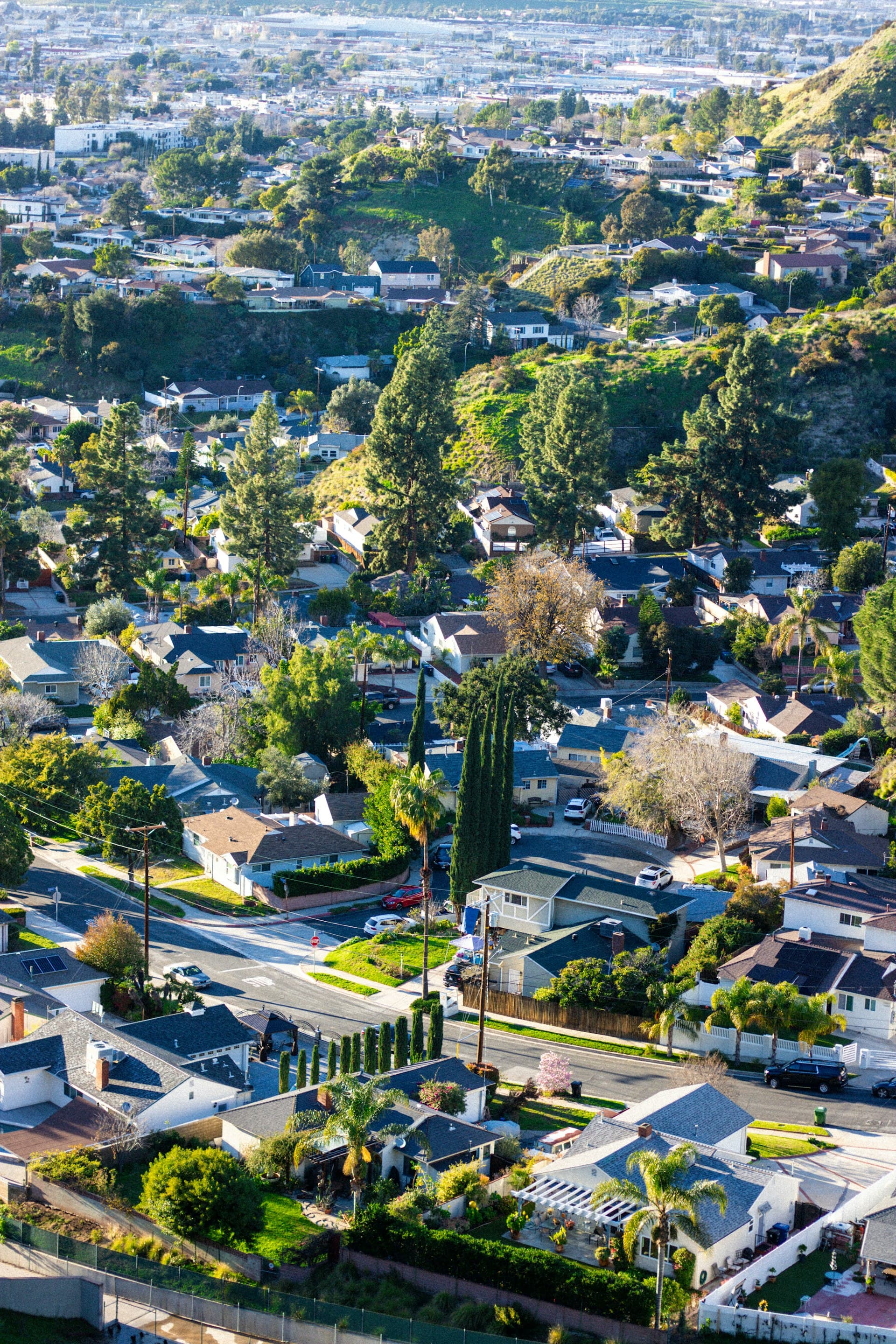 Aerial view of suburban California neighborhood with residential homes and tree-lined streets