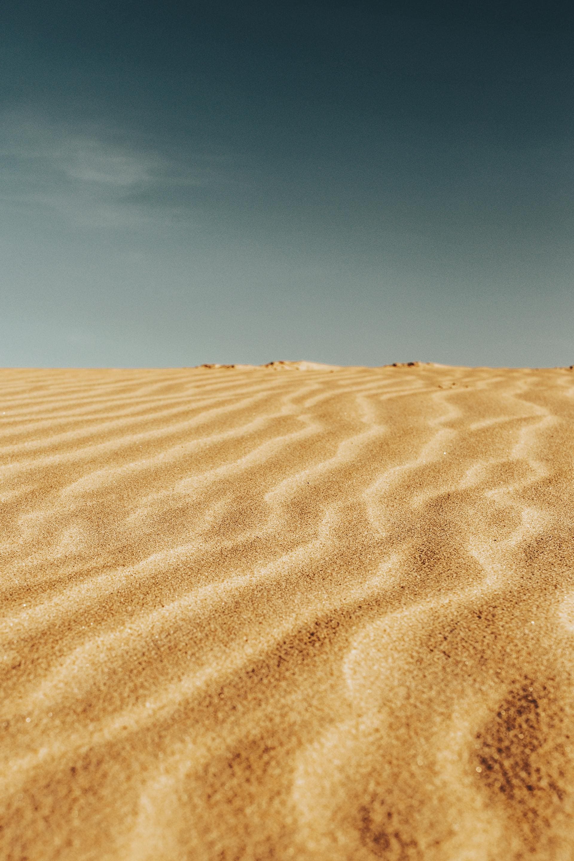 Hot dry desert landscape representing Texas summer heat