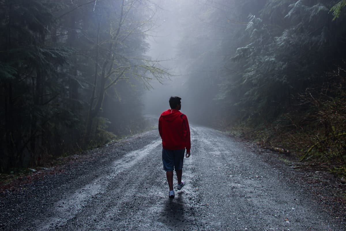 Foggy Pacific Northwest forest road showing typical wet climate conditions