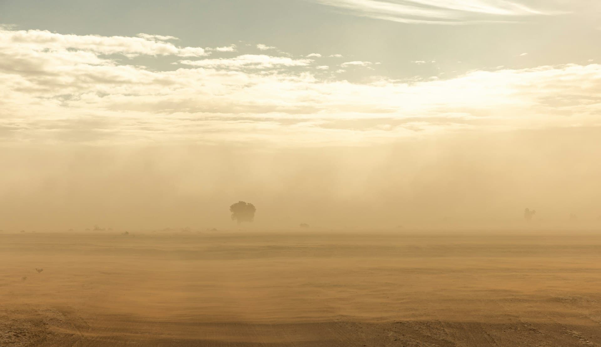 Desert dust storm showing the climate challenges faced by El Paso HVAC systems