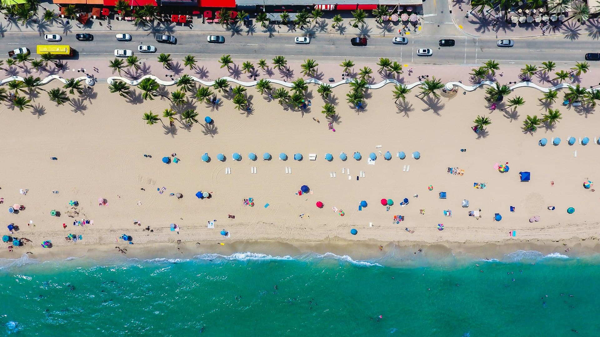 Aerial view of Fort Lauderdale beach with palm trees and turquoise ocean