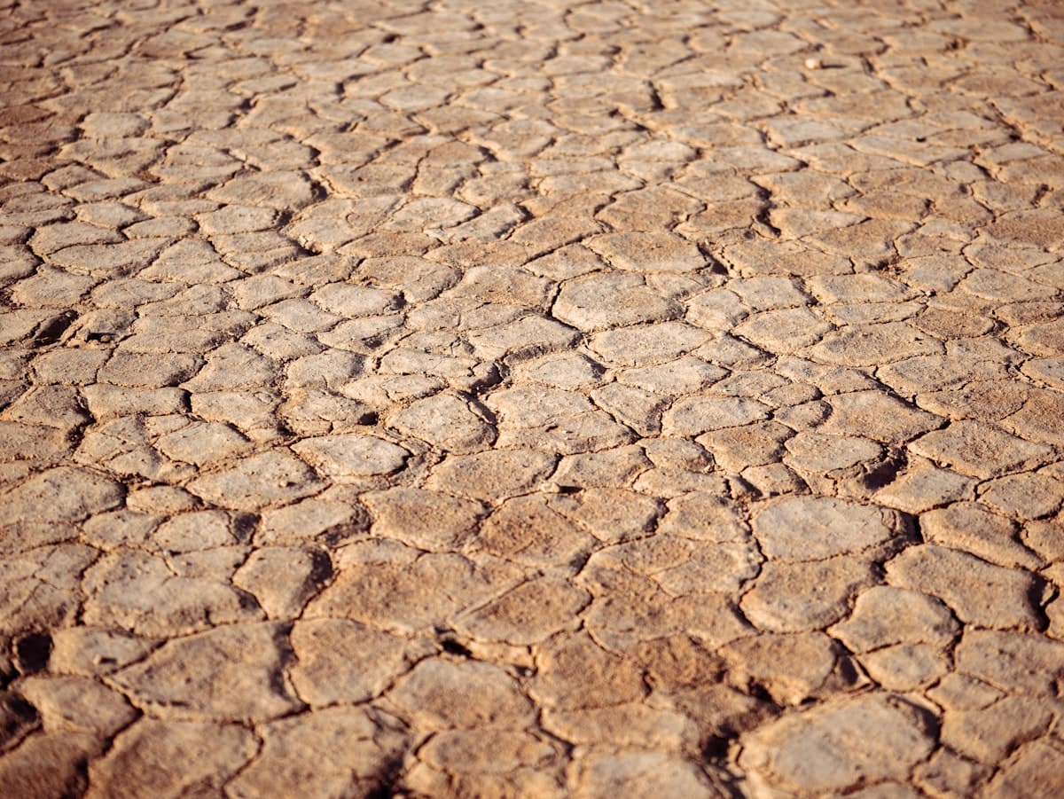 Cracked dry earth showing California drought conditions and extreme heat