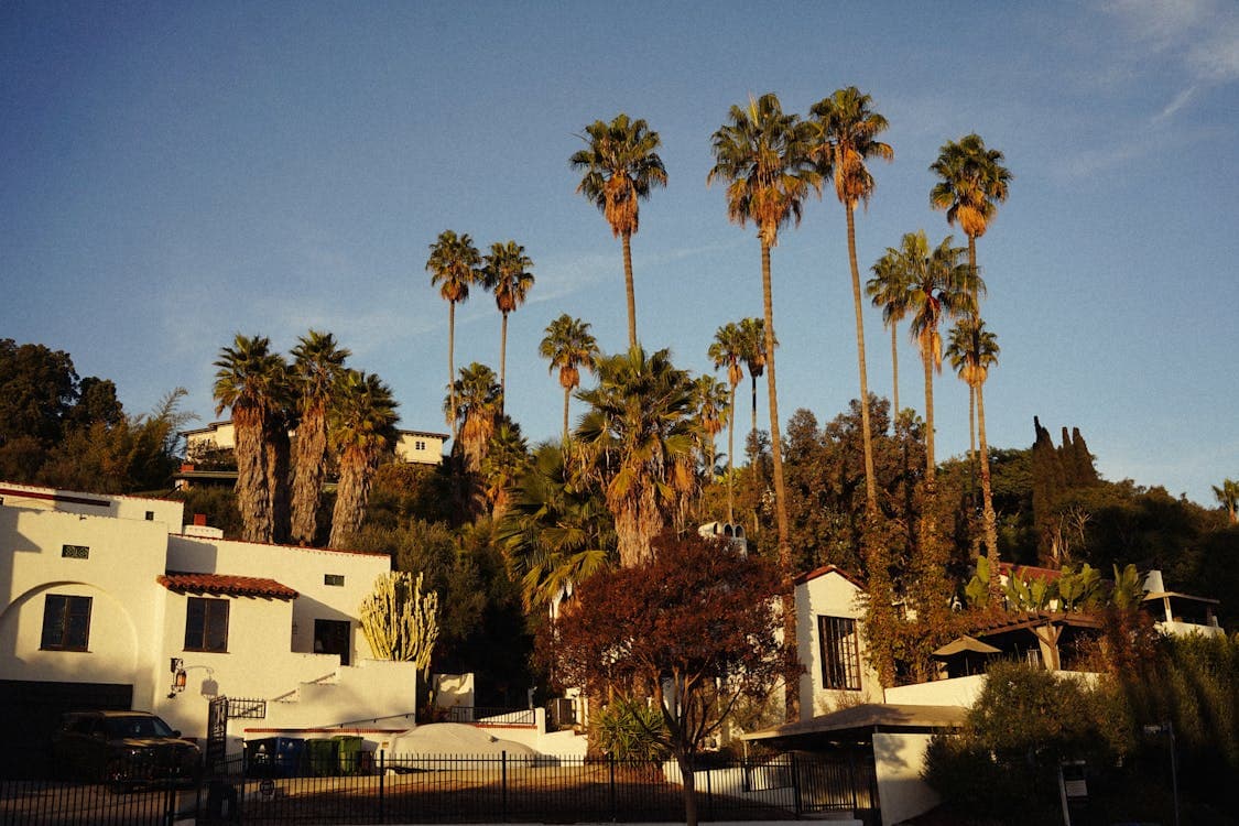 Spanish-style California homes with palm trees at sunset