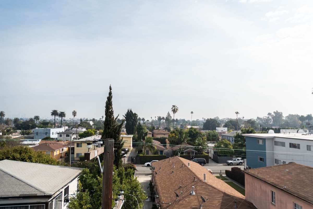California suburban neighborhood with palm trees and residential rooftops