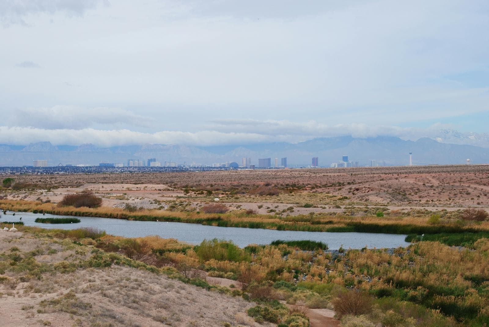Desert landscape in Henderson Nevada with Las Vegas Strip skyline in the distance