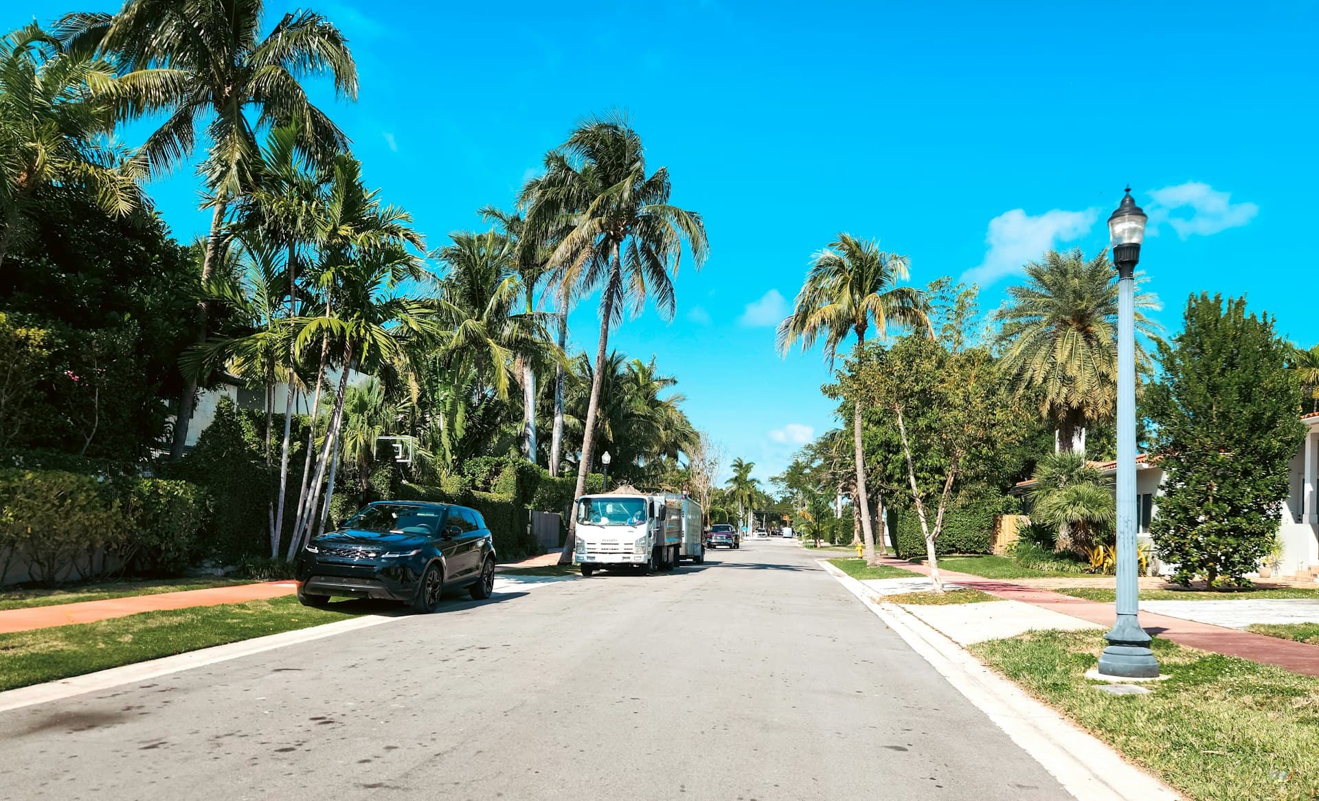 Palm tree lined residential street in Miami area with parked cars