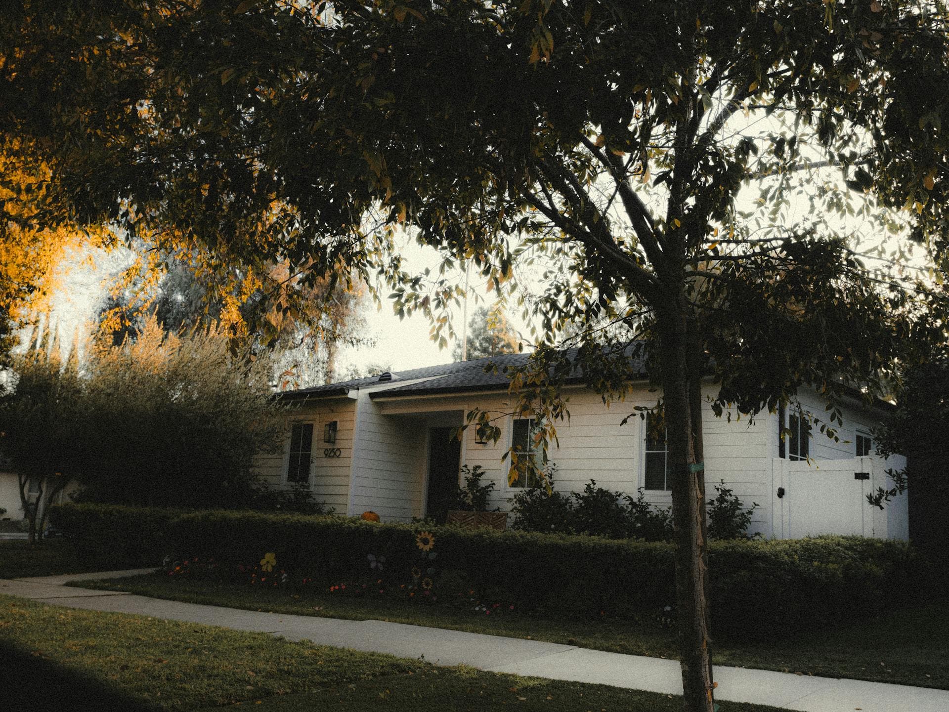 Charming suburban home in Los Angeles neighborhood with greenery