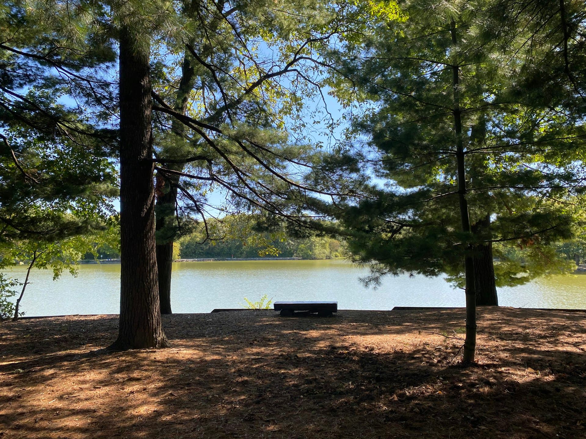 Danada Forest Preserve lake with trees and bench in Naperville Illinois