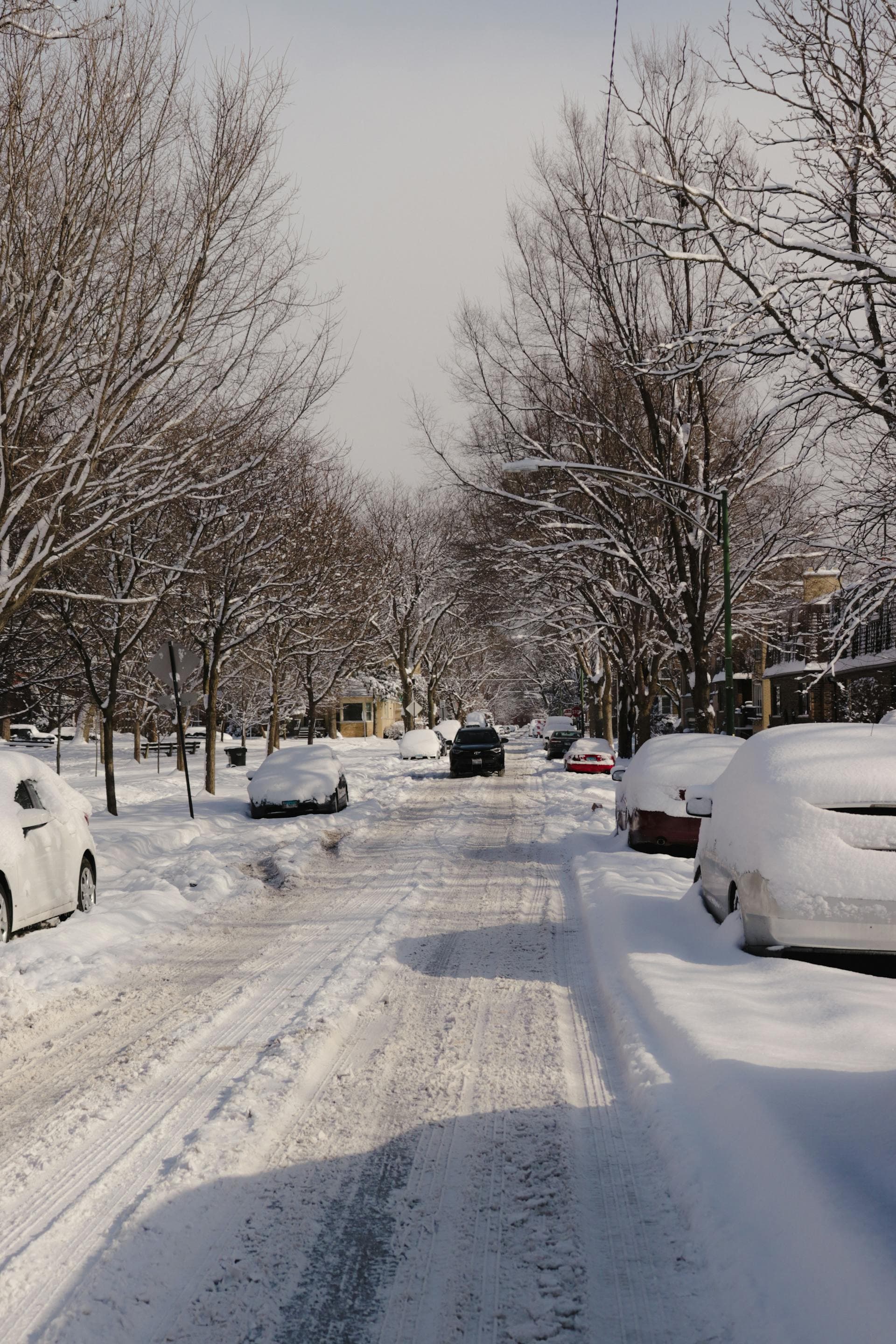 Snow-covered residential street in Chicago area winter showing heavy snowfall and parked cars
