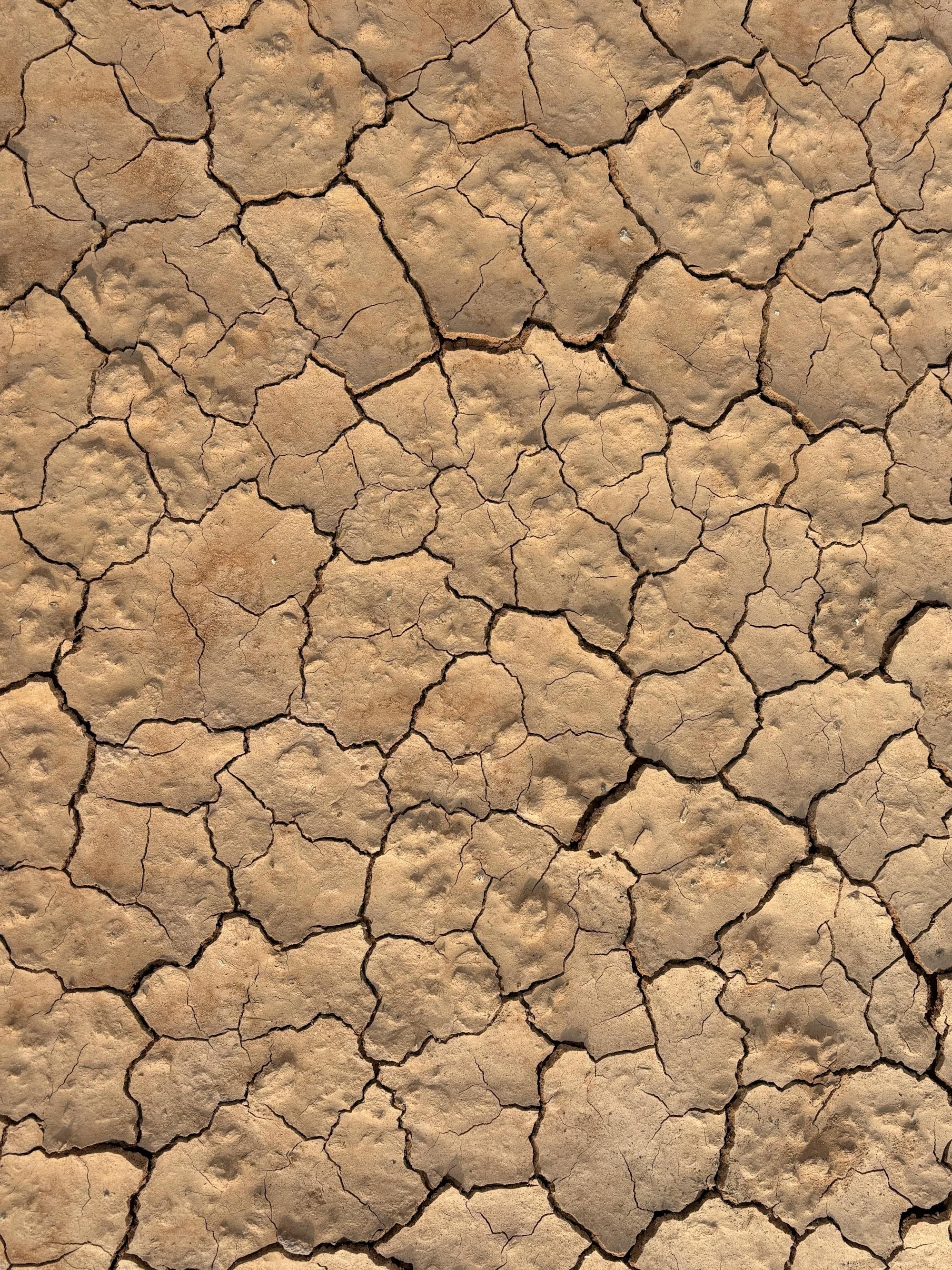 Cracked dry earth representing Sacramento California hot dry summer climate